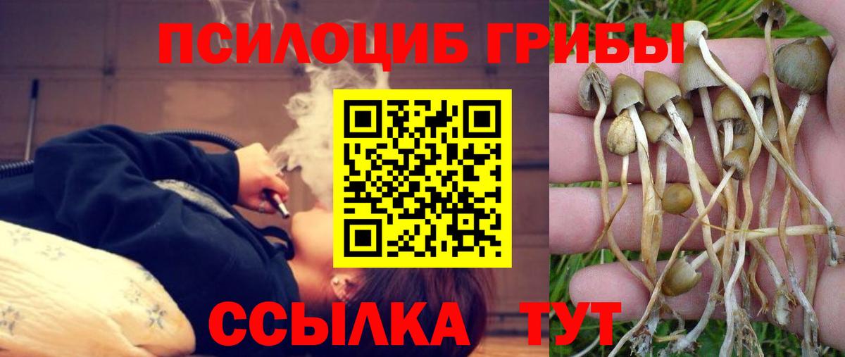 Галлюциногенные грибы ЛСД Армавир